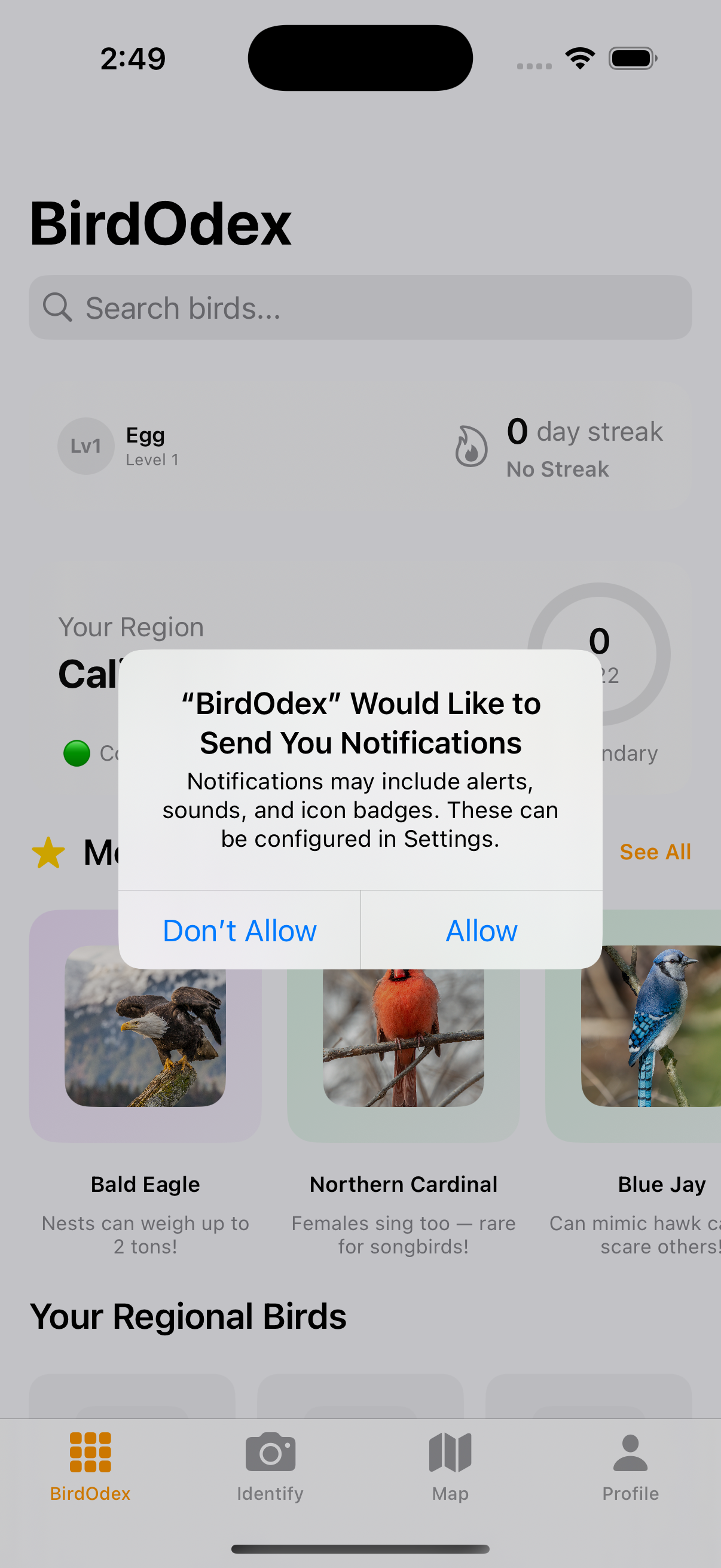 BirdOdex App Screenshot